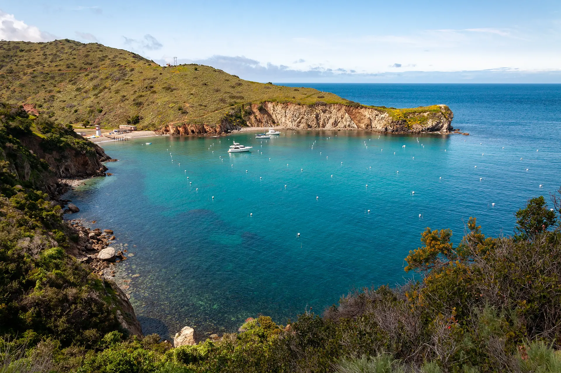 Cherry Cove Catalina Island - Photo by Josh Utley